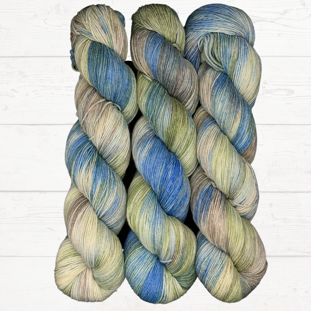Peter's Big Adventure - A variegated hand dyed yarn