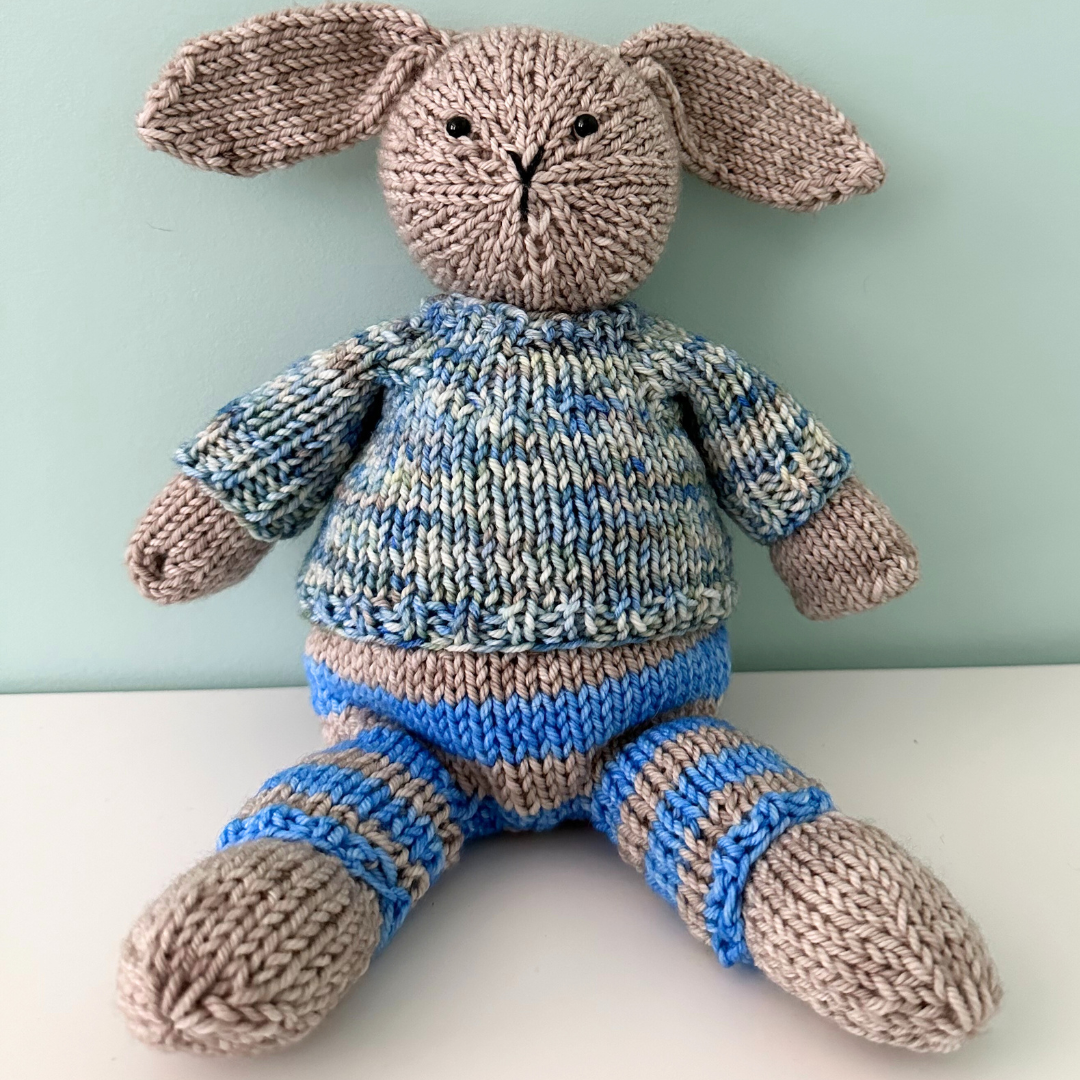 Peter's Big Adventure - A variegated hand dyed yarn
