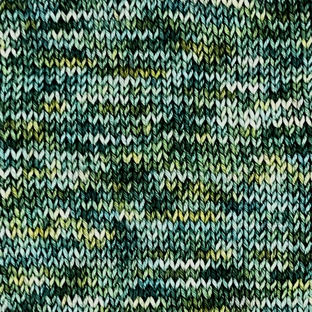 Forest Floor - A variegated hand dyed yarn