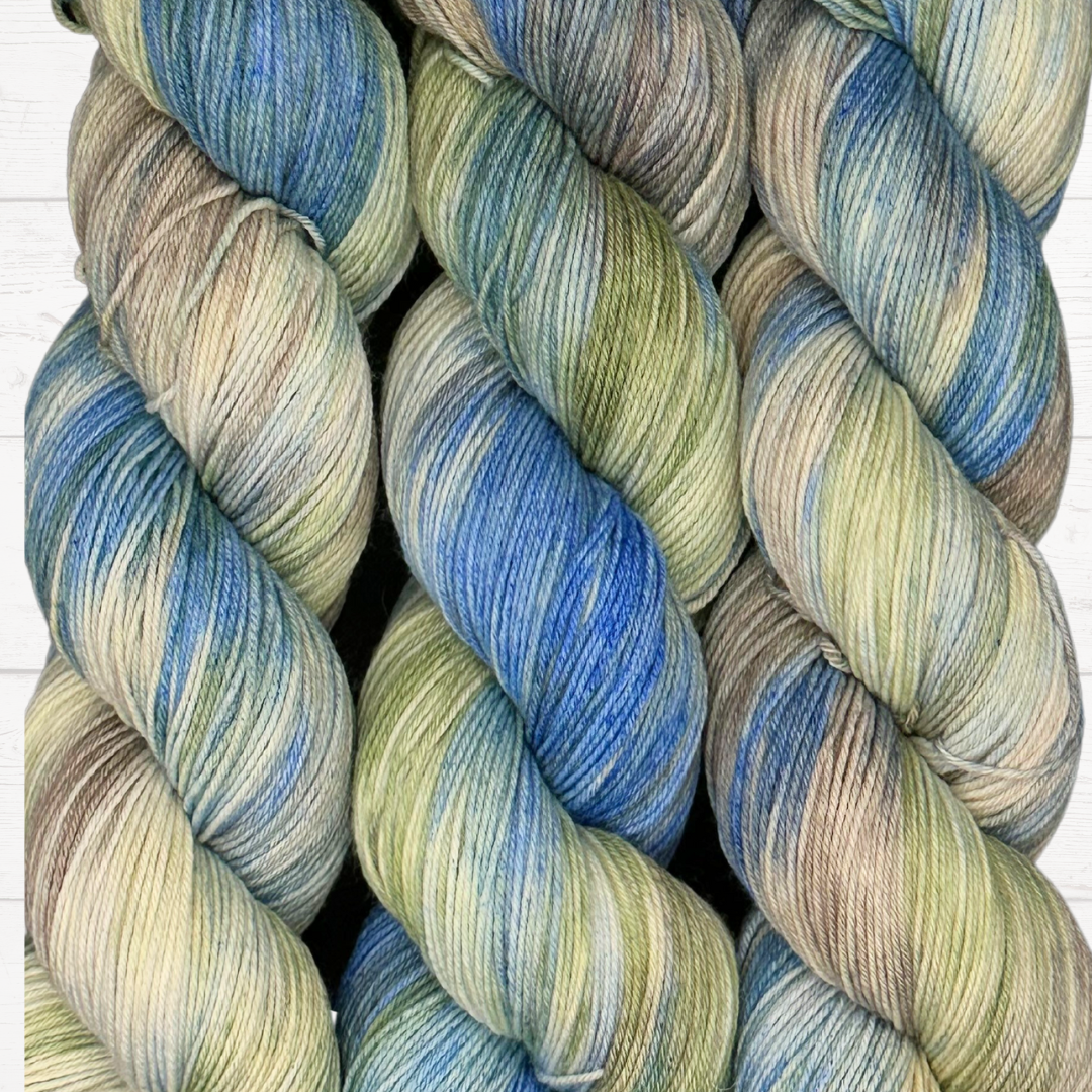Peter's Big Adventure - A variegated hand dyed yarn