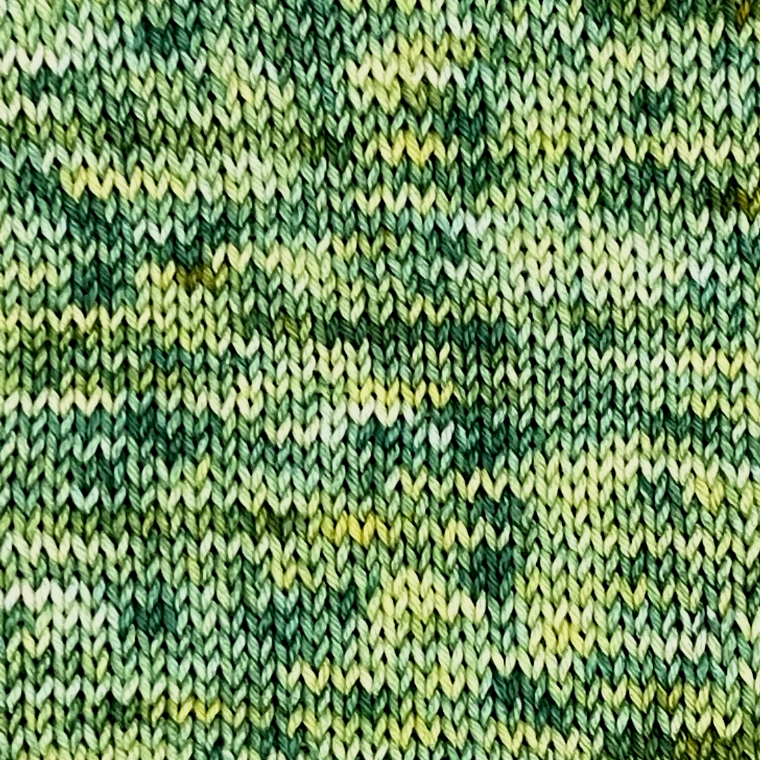 Meadow - A variegated hand dyed yarn